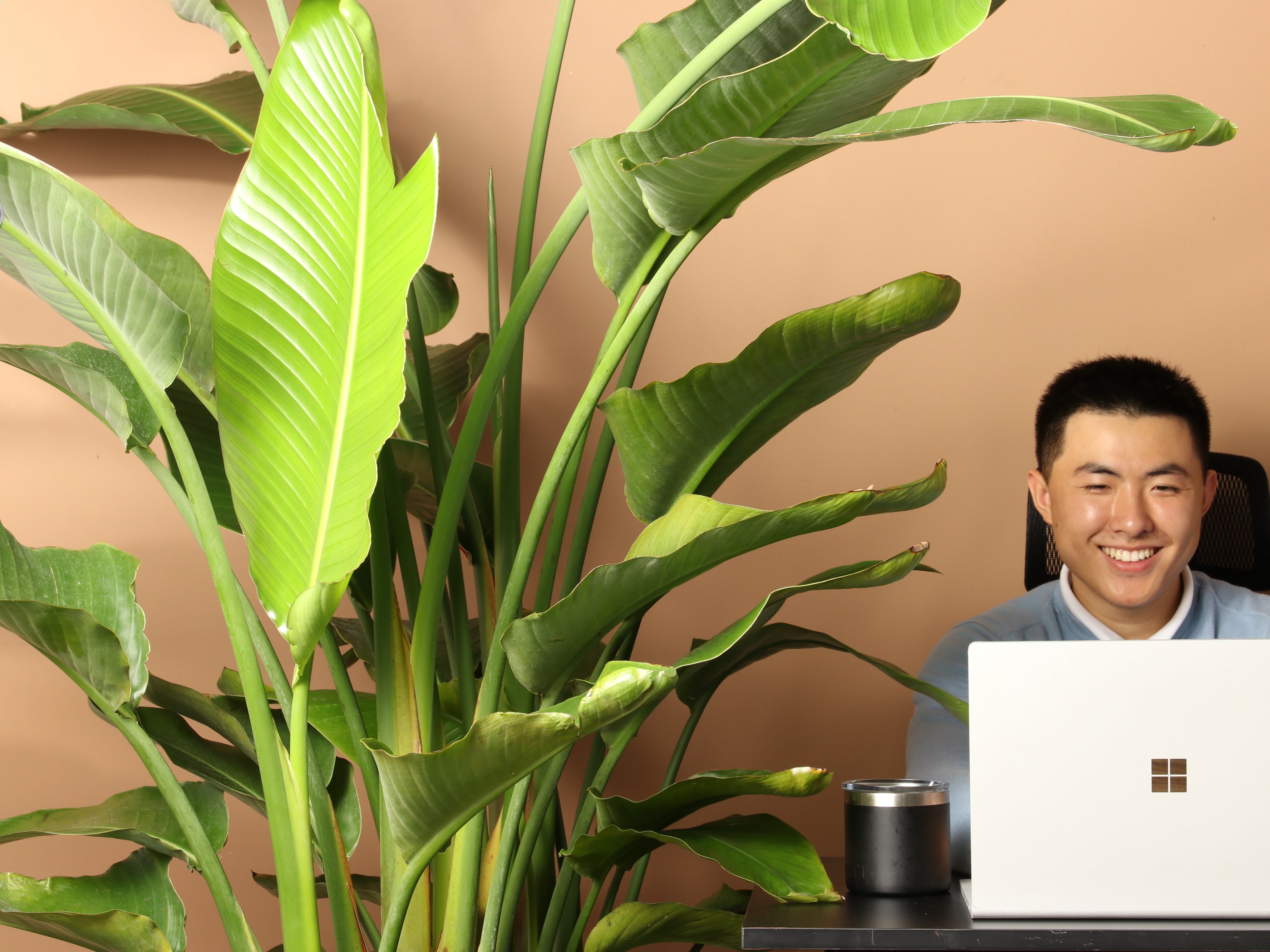 Free 30 day proactive plant expert guidance program