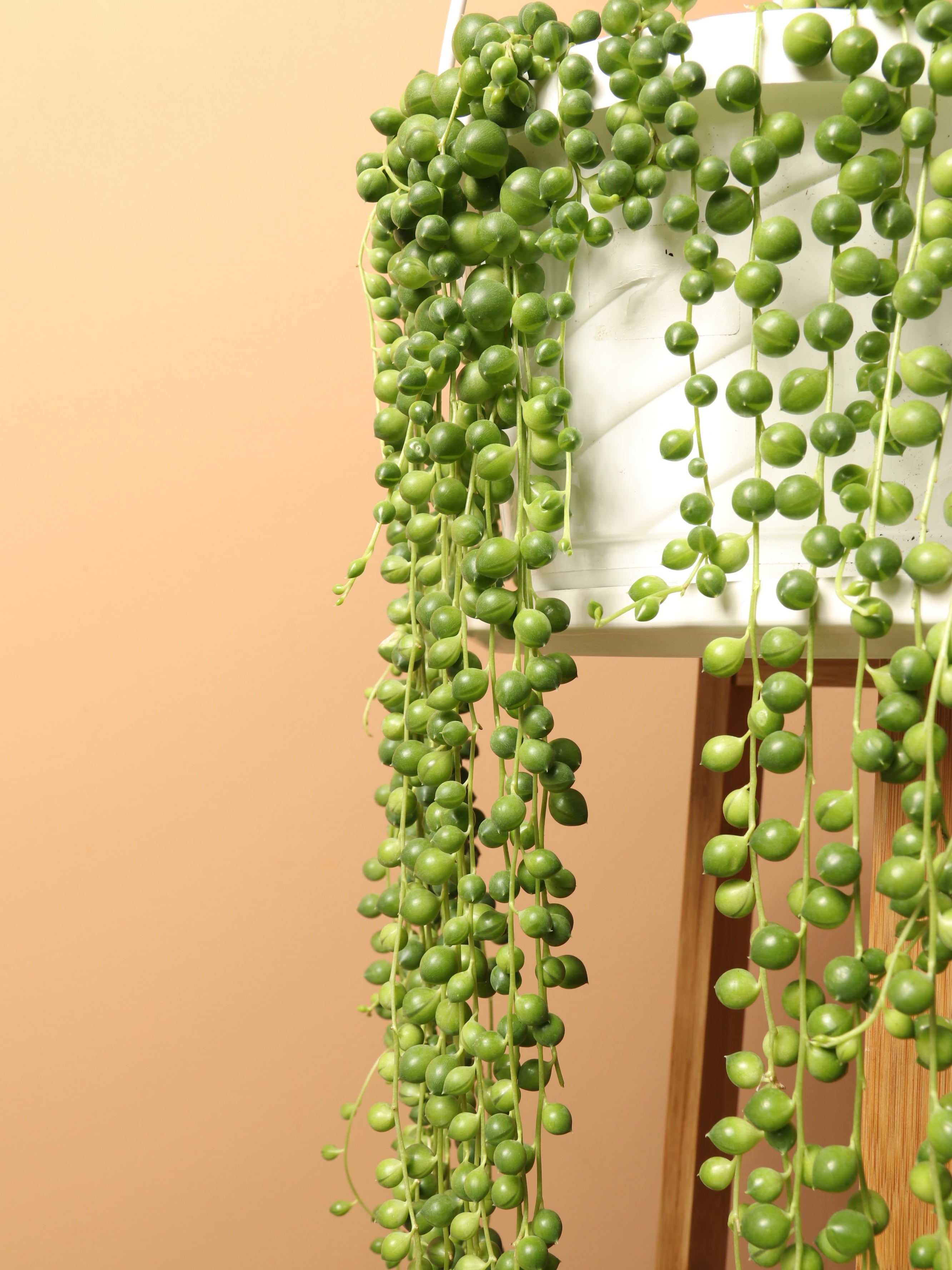 Hanging String of Pearls
