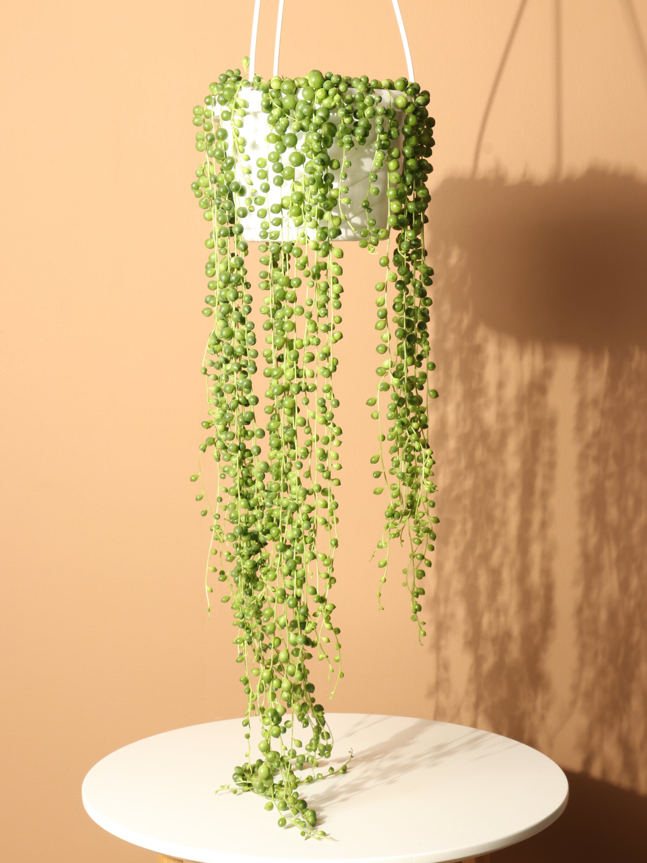 String of Pearls Window Hangings Plant Stained Glass,fake Senecio  Rowleyanus,trailing Succulent Wall Window Plant Decor 