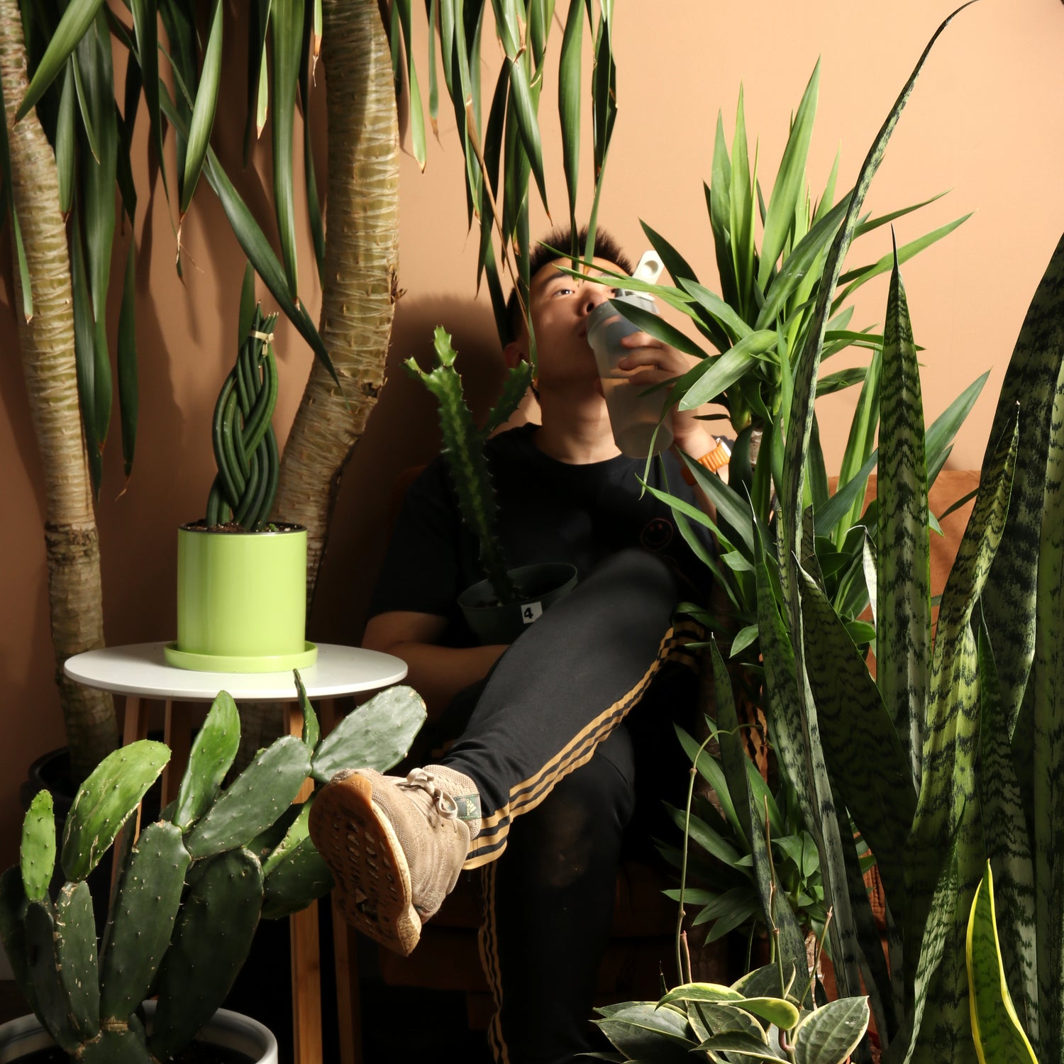How To Turn Your Home Into A Desert Vista