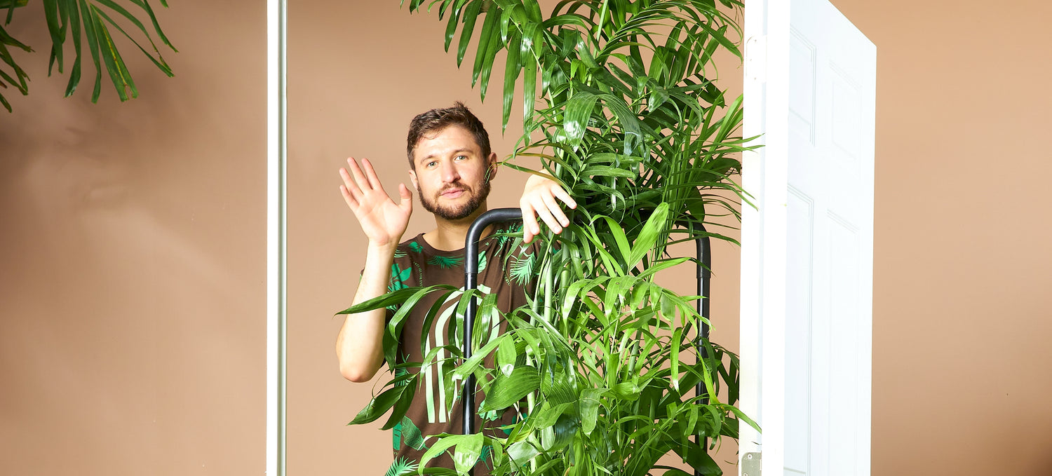 BIG PLANTS FOR DELIVERY