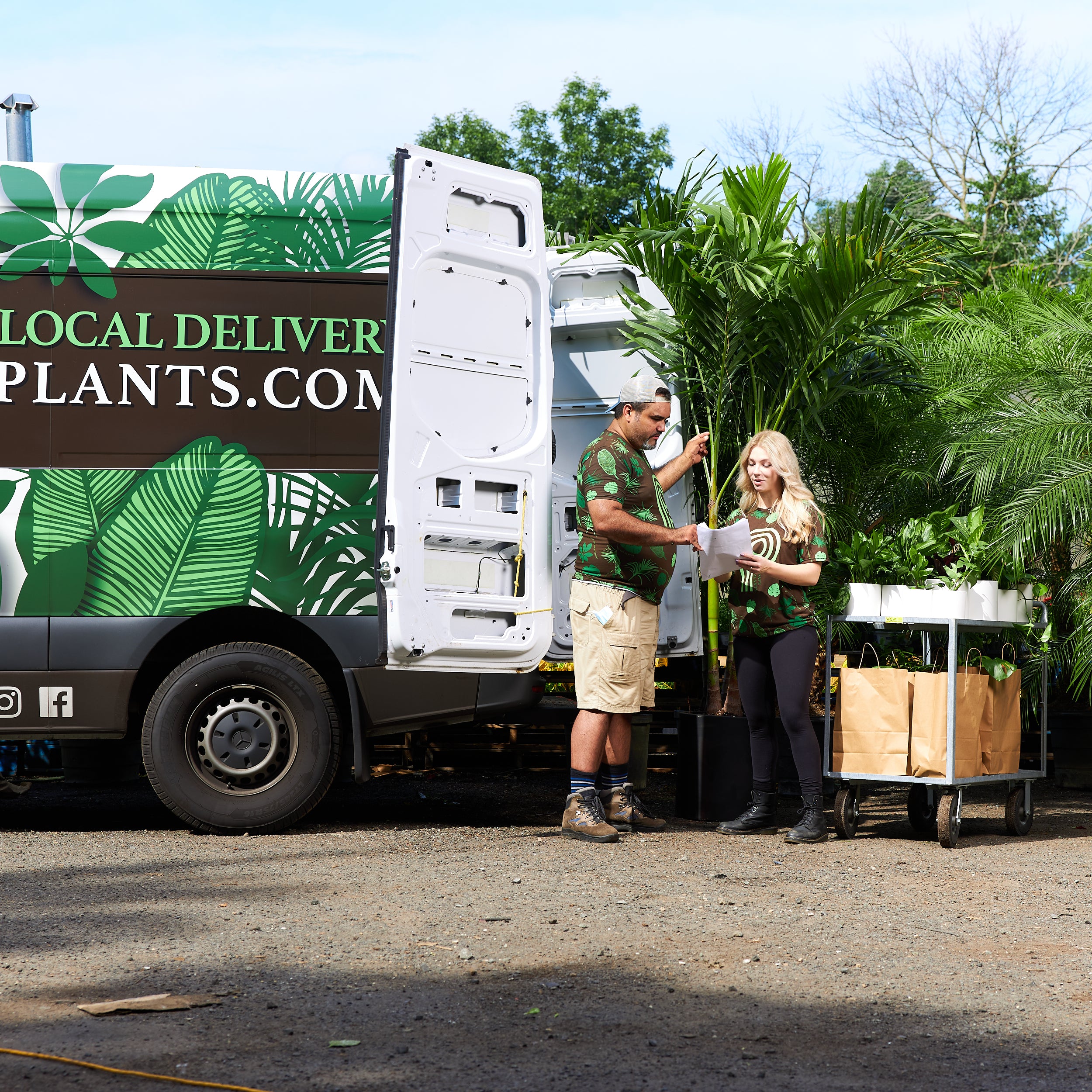 Floor Plants For Local Delivery To Boston