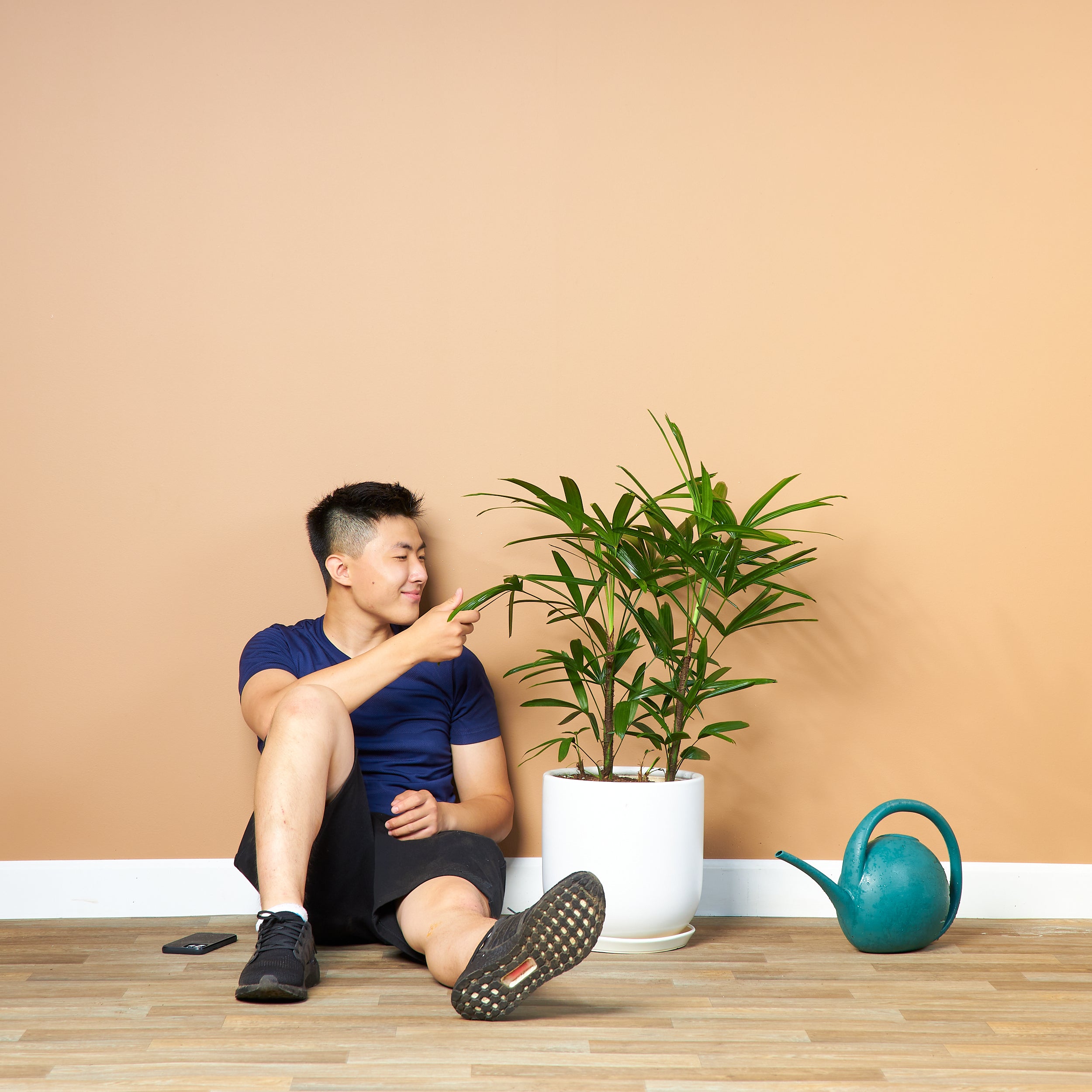 Large Size Plants