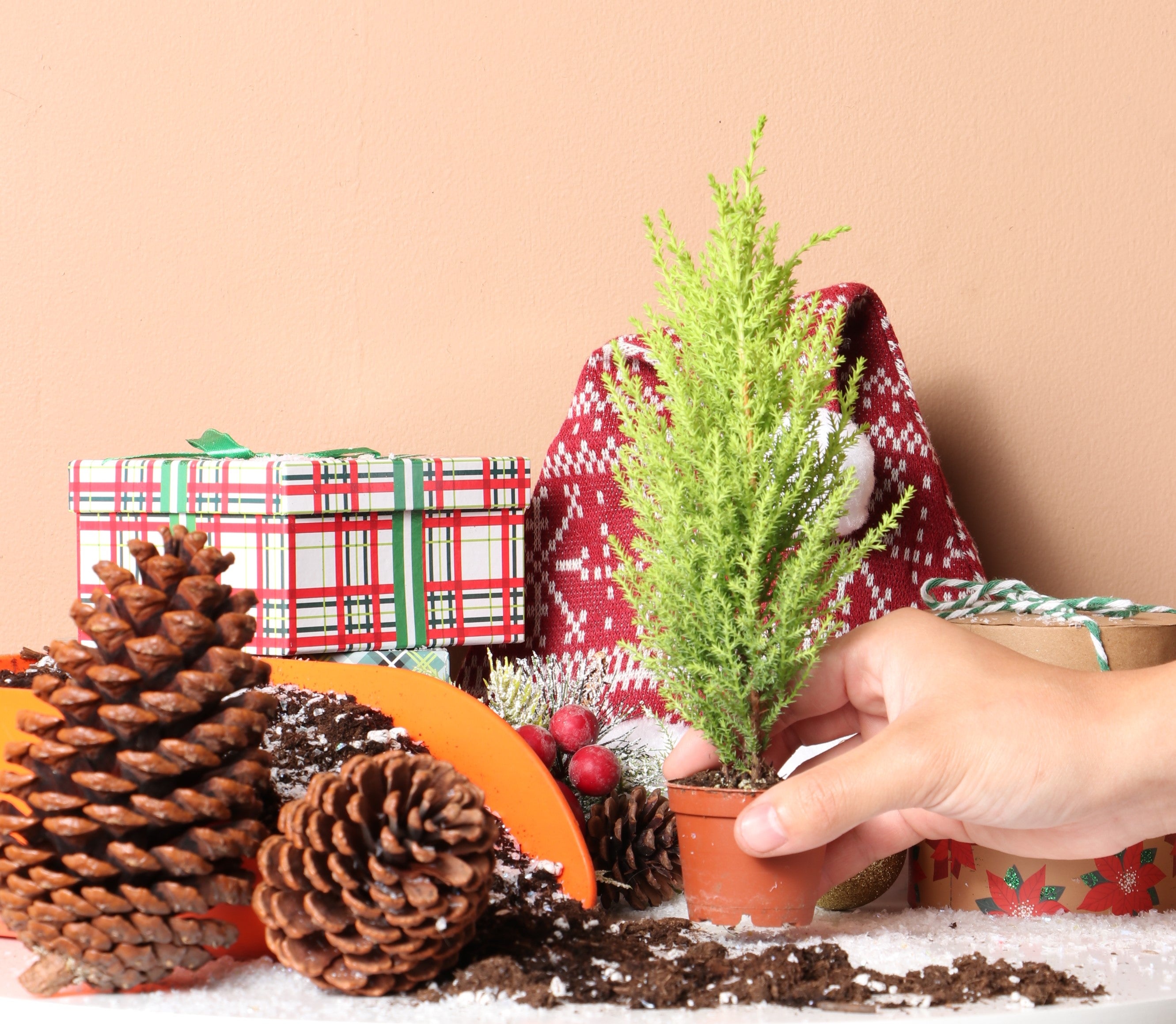 Dahing Holiday Collection