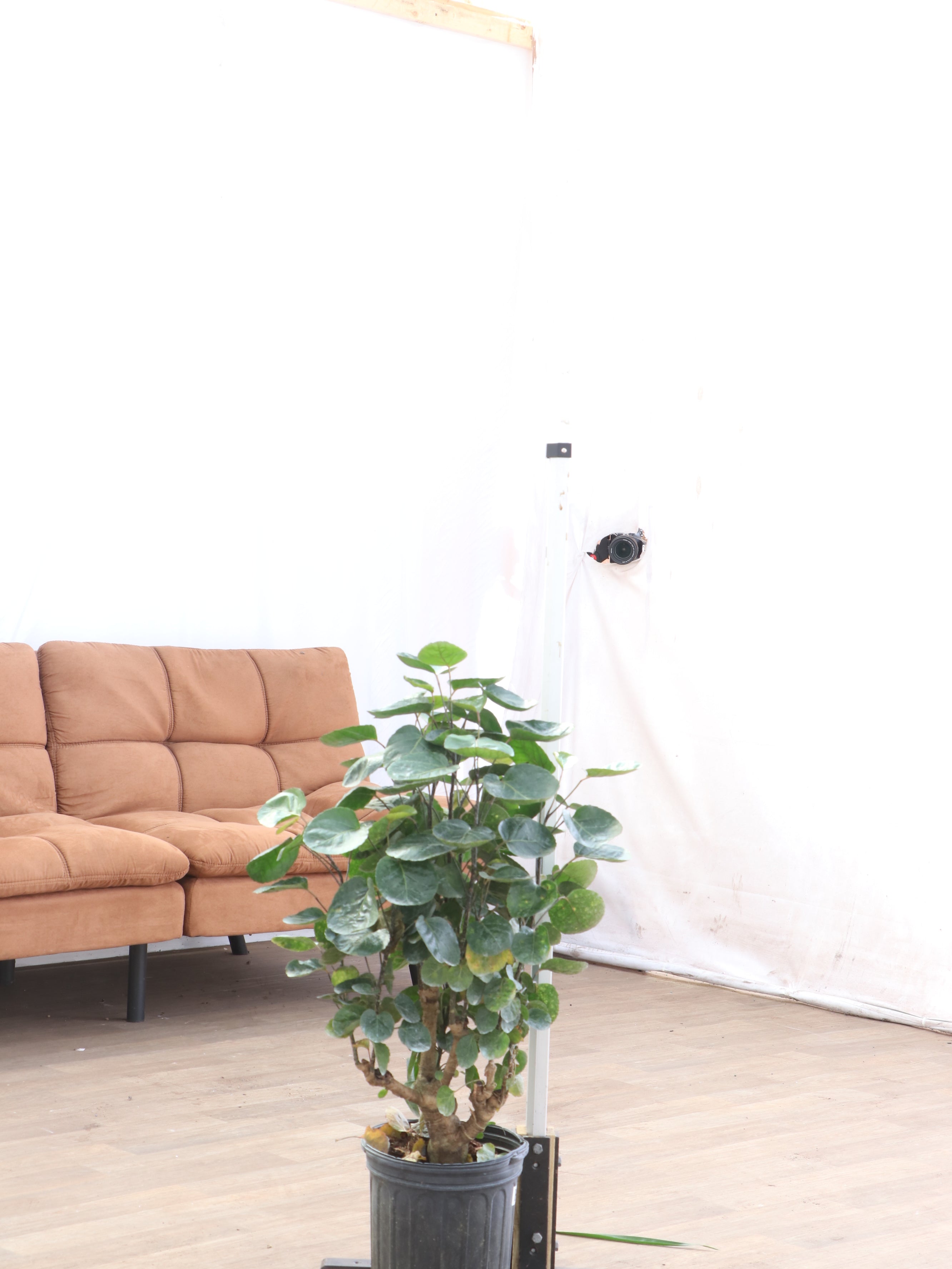 spl|00001