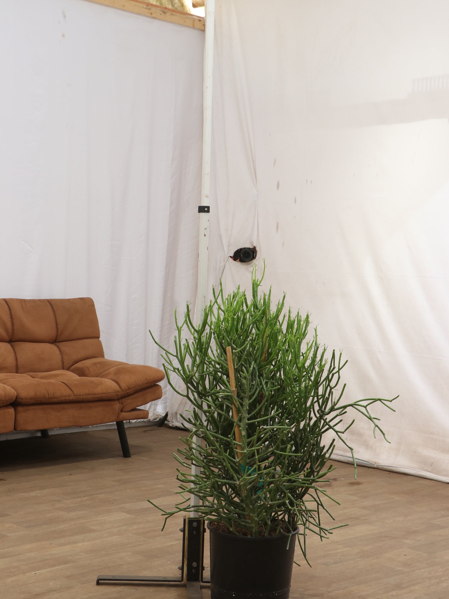 spl|00001