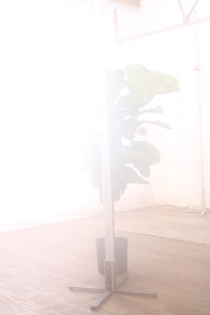 spl|00002