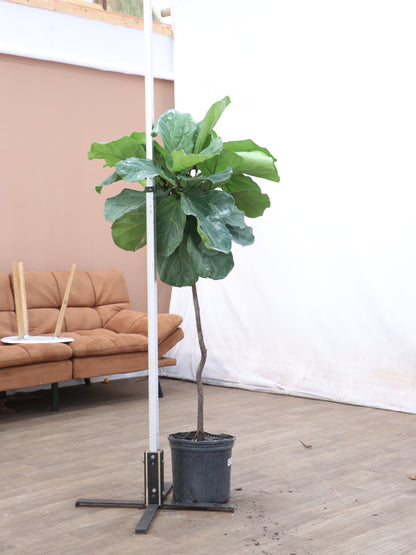 spl|00002