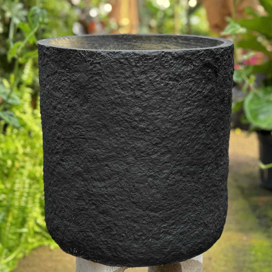 Cylinderica (#082/093/083) | Fits: 4", 5", 6" Plants