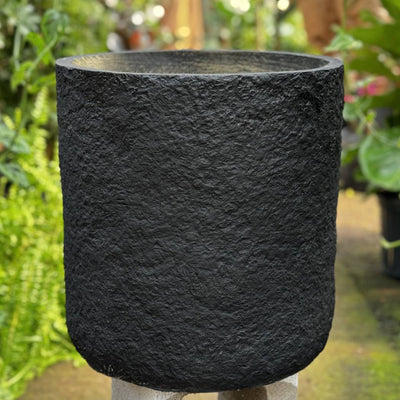 Cylinderica (#082/093/083) | Fits: 4", 5", 6" Plants