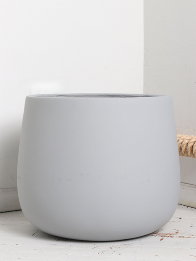 Big Oval (#2024) | Fits 6", 10", 14" Plants