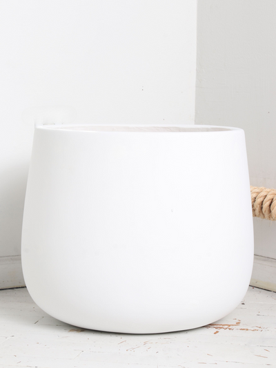 Big Oval (#2024) | Fits 6", 10", 14" Plants