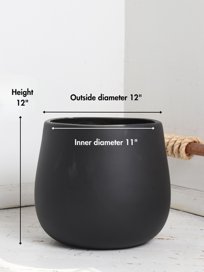 Big Oval (#2024) | Fits 6", 10", 14" Plants