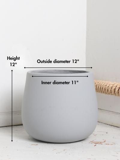 Big Oval (#2024) | Fits 6", 10", 14" Plants