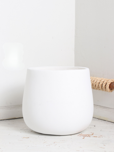 Big Oval (#2024) | Fits 6", 10", 14" Plants