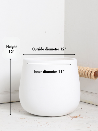Big Oval (#2024) | Fits 6", 10", 14" Plants