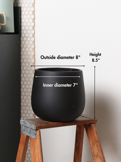 Big Oval (#2024) | Fits 6", 10", 14" Plants