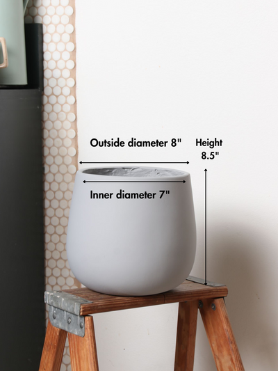 Big Oval (#2024) | Fits 6", 10", 14" Plants