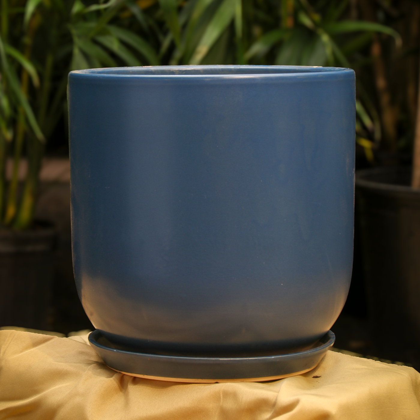 Cylindoval (#337/336) | Fits: 6", 8", 10", 14" Plants