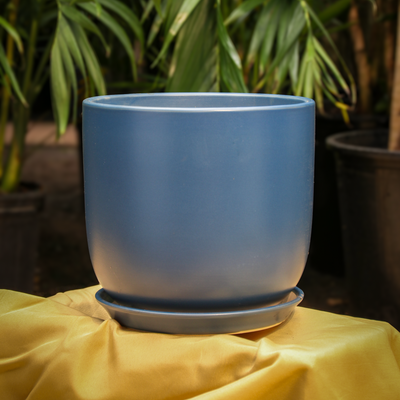 Cylindoval (#337/336) | Fits: 6", 8", 10", 14" Plants