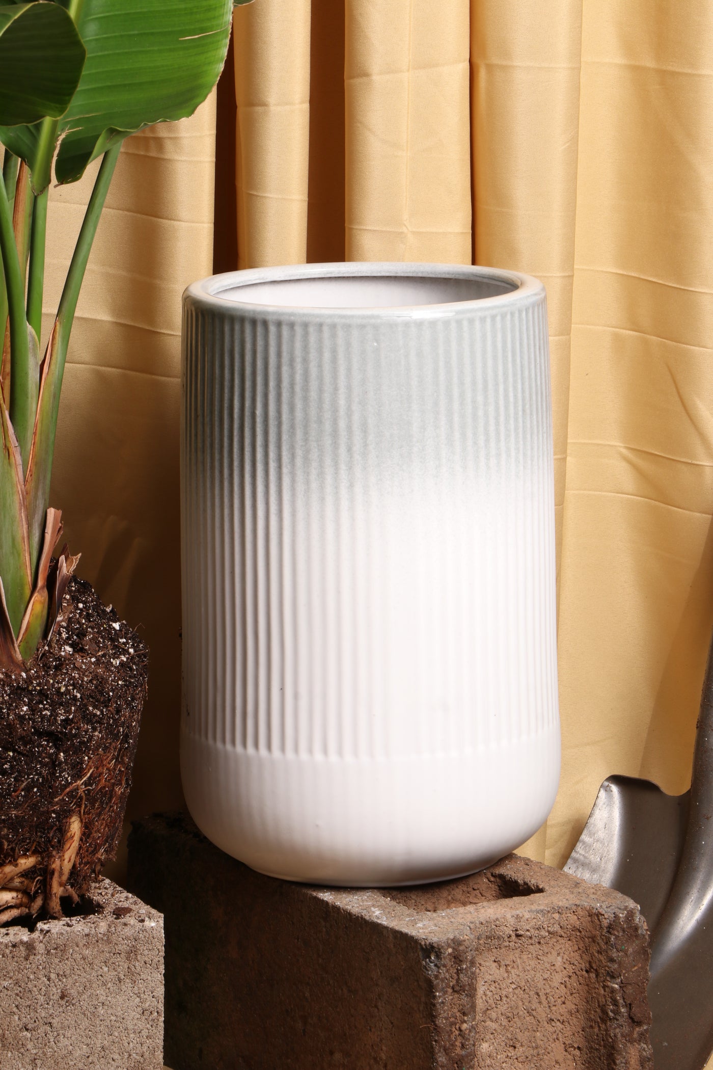 Assorted Planters