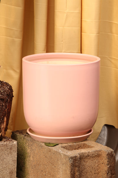 Cylindoval (#337/336) | Fits: 6", 8", 10", 14" Plants