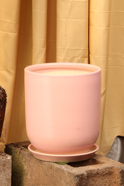 Cylindoval (#337/336) | Fits: 6", 8", 10", 14" Plants