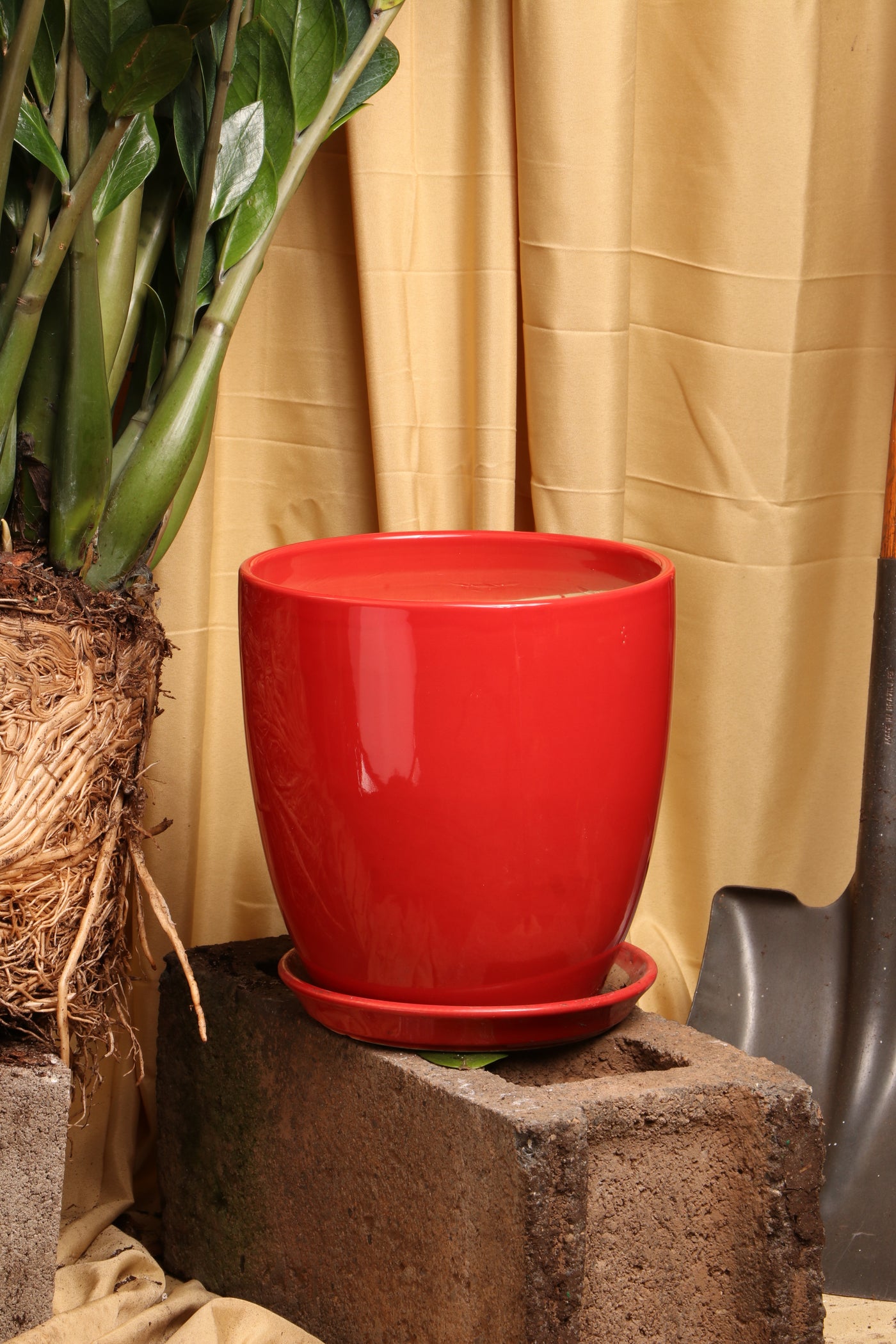 Assorted Planters