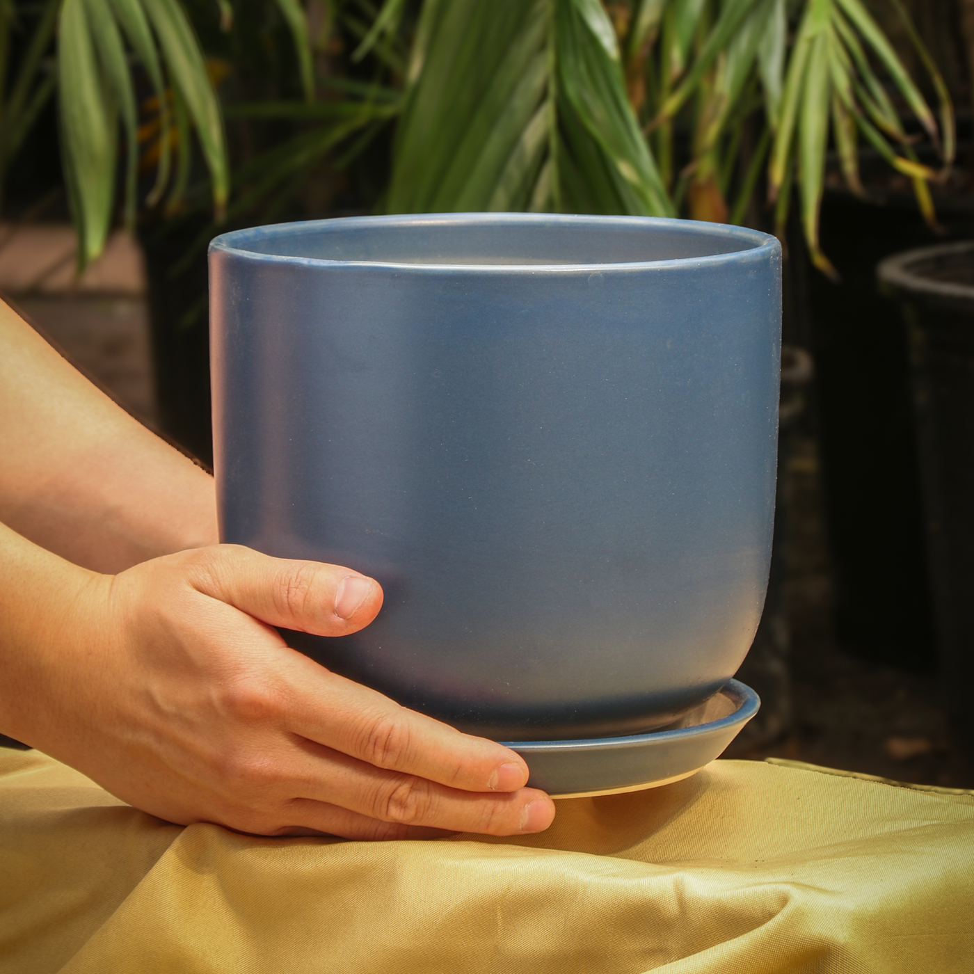 Cylindoval (#337/336) | Fits: 6", 8", 10", 14" Plants