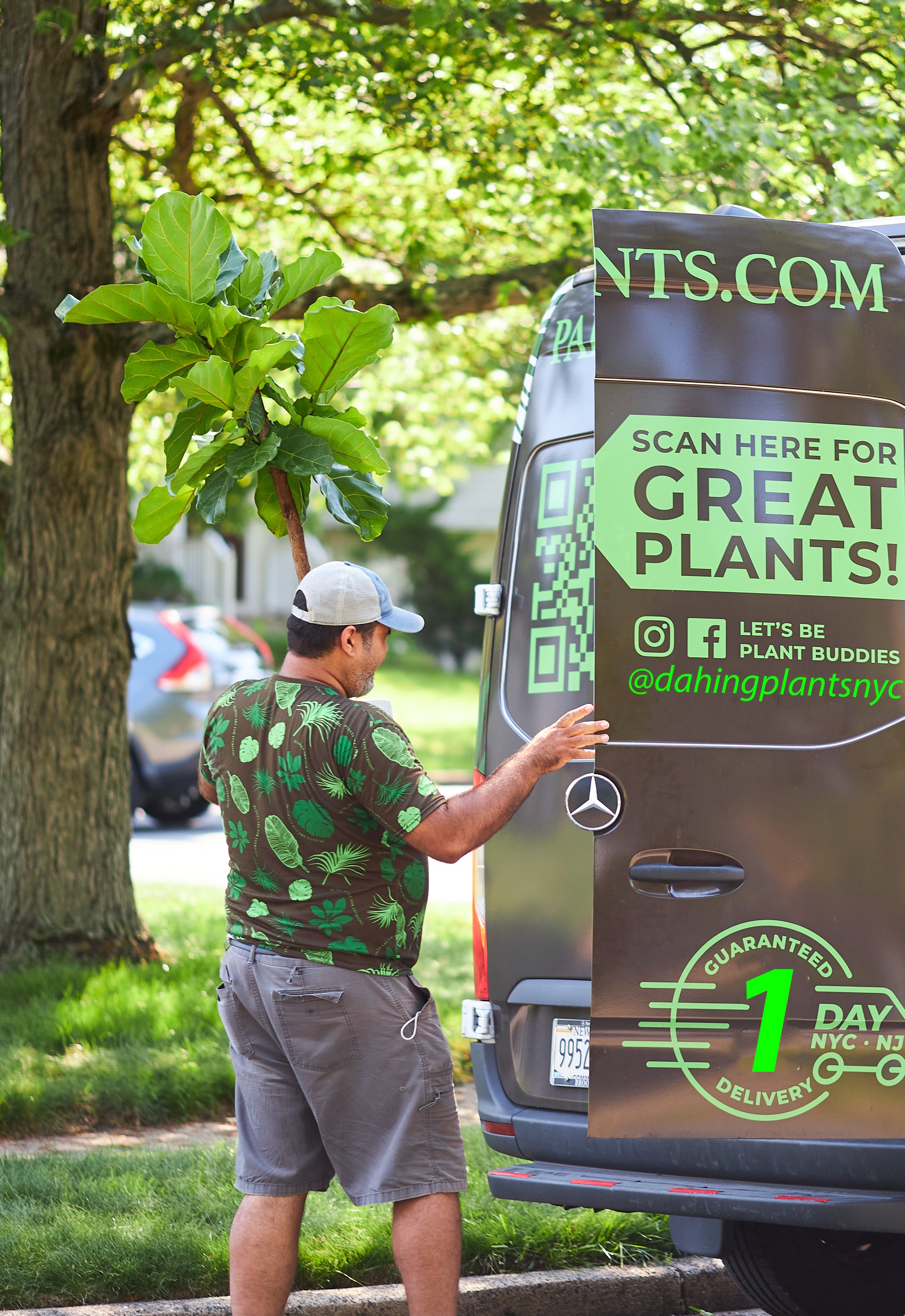 The Lucky Plants Dahing Plants