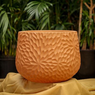 Assorted Planters