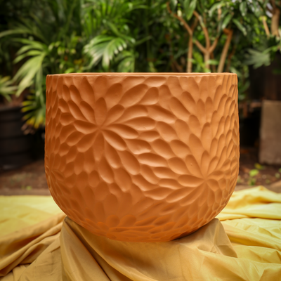 Assorted Planters