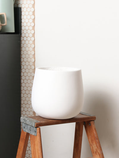Big Oval (#2024) | Fits 6", 10", 14" Plants