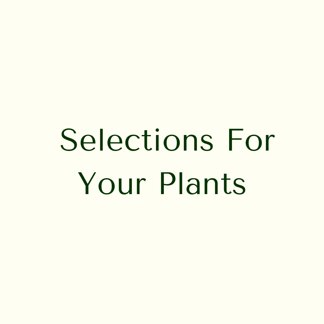 Choose Your Pot
