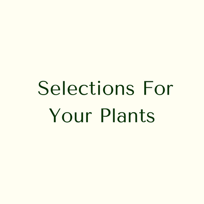 Choose Your Pot