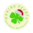 Dahing Plants