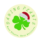 Dahing Plants