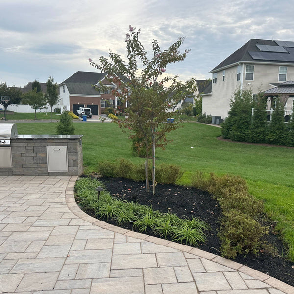 A curved light-grey stone paver patio bordering a black mulch garden bed featuring vibrant green lily turf, a young deciduous tree, and low-maintenance shrubs.