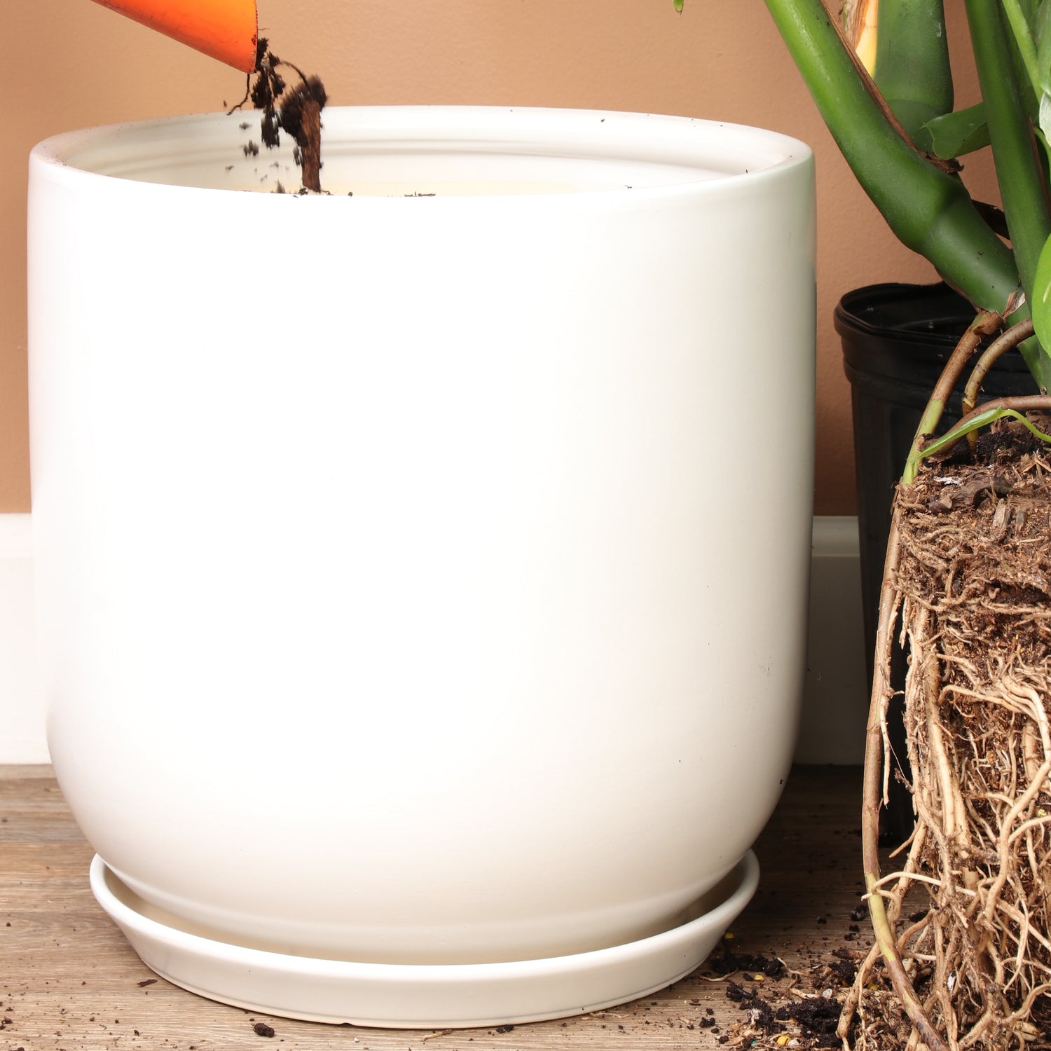 Large pot options