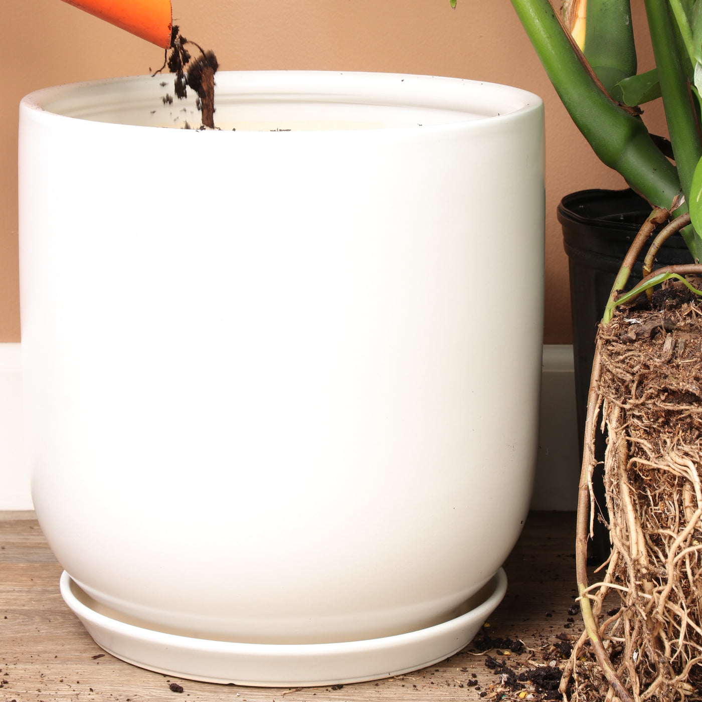 Large pot options