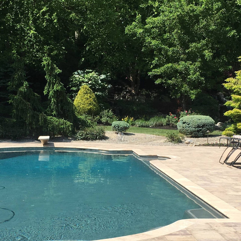 Pool area with trees and garden in the background