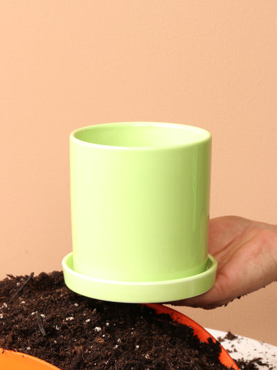 Small pot options