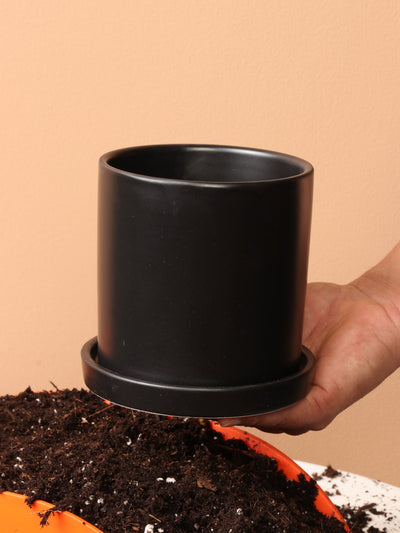 Small pot options