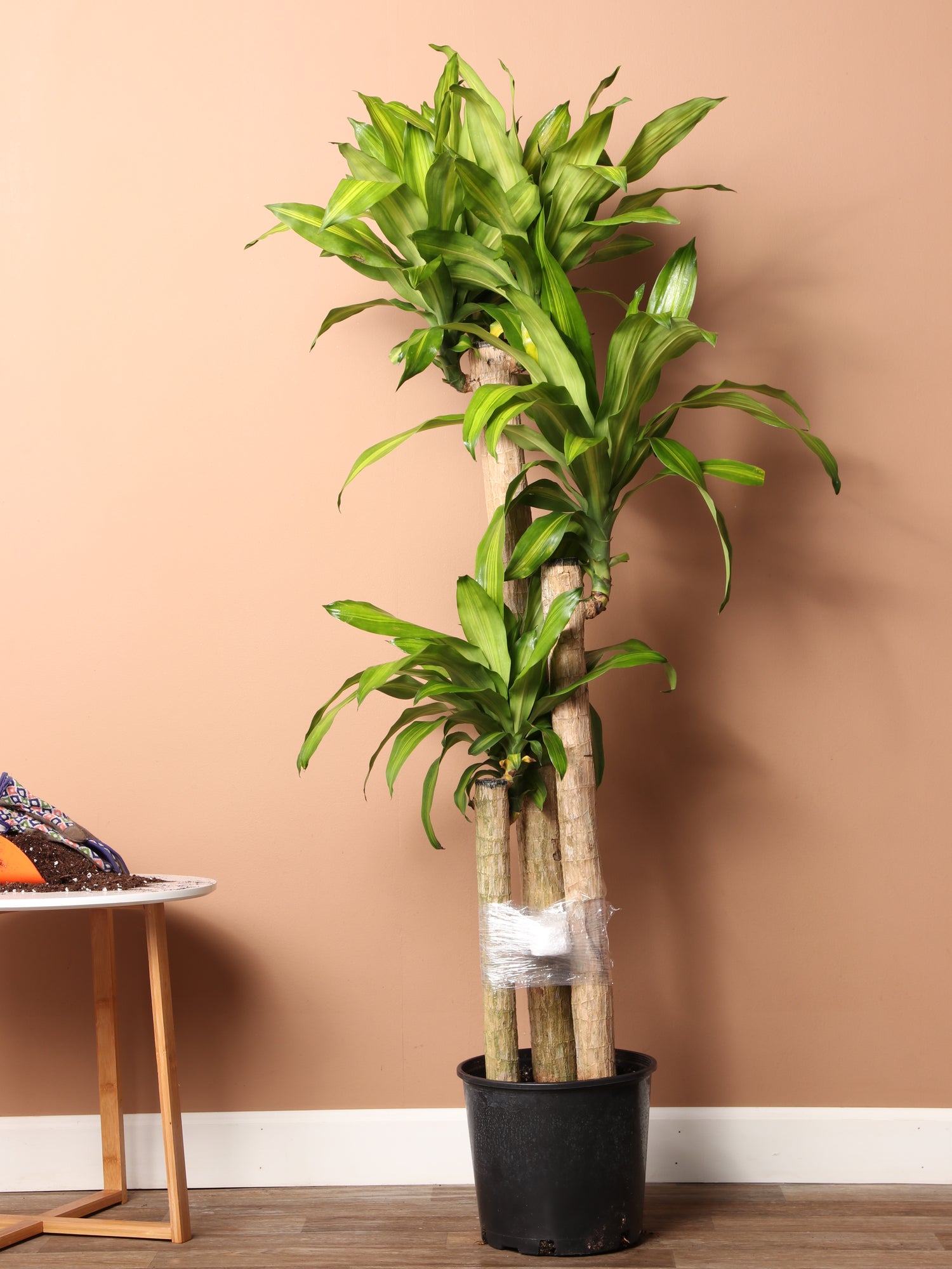 hanging orchid planter 41” Vanda Orchid Hanging Basket Artificial Plant