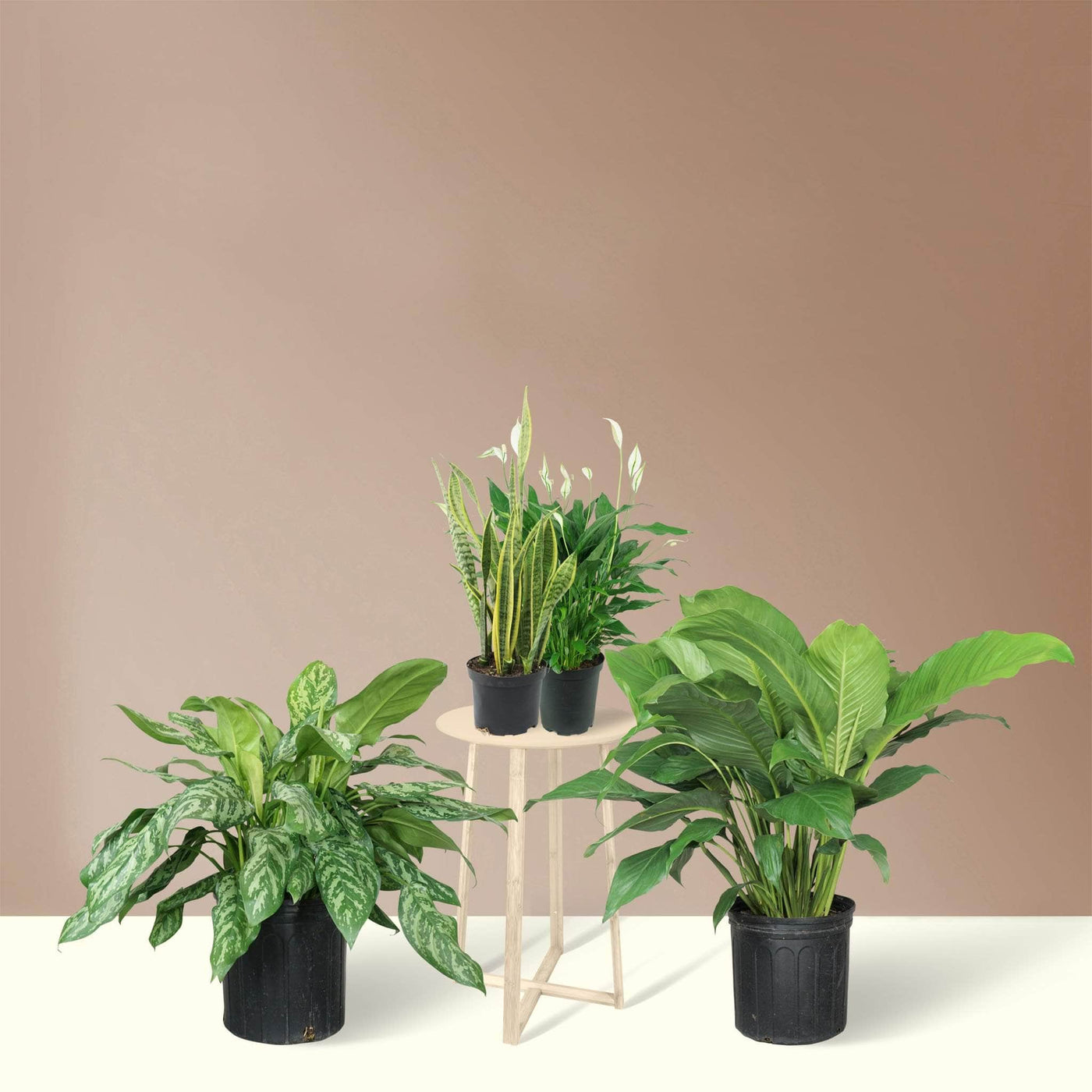 Productivity Booster Filler Pack