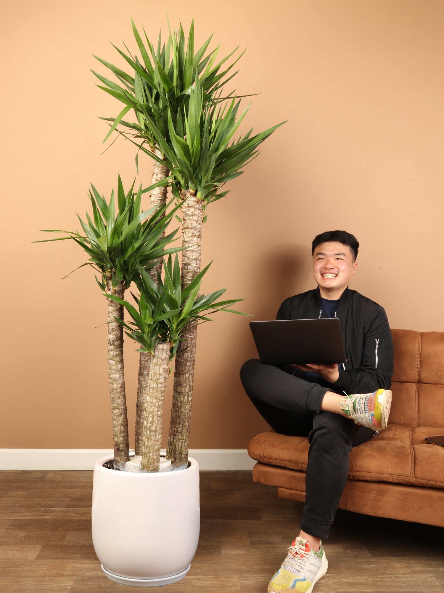 6-8ft Yucca Cane – Dahing Plants