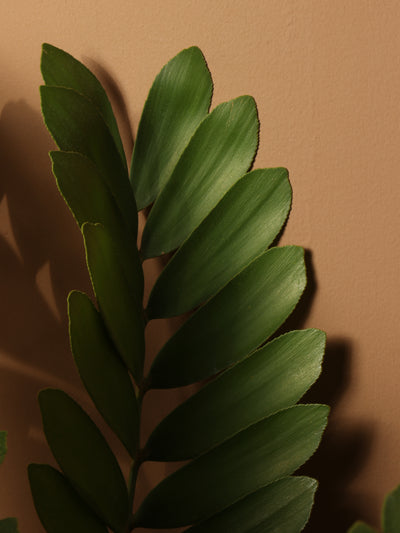 Full Size Cardboard Palm