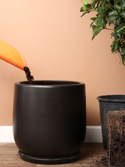 Cylindoval (#337/336) | Fits: 6", 8", 10", 14" Plants