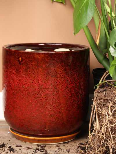 Cylindoval (#337/336) | Fits: 6", 8", 10", 14" Plants