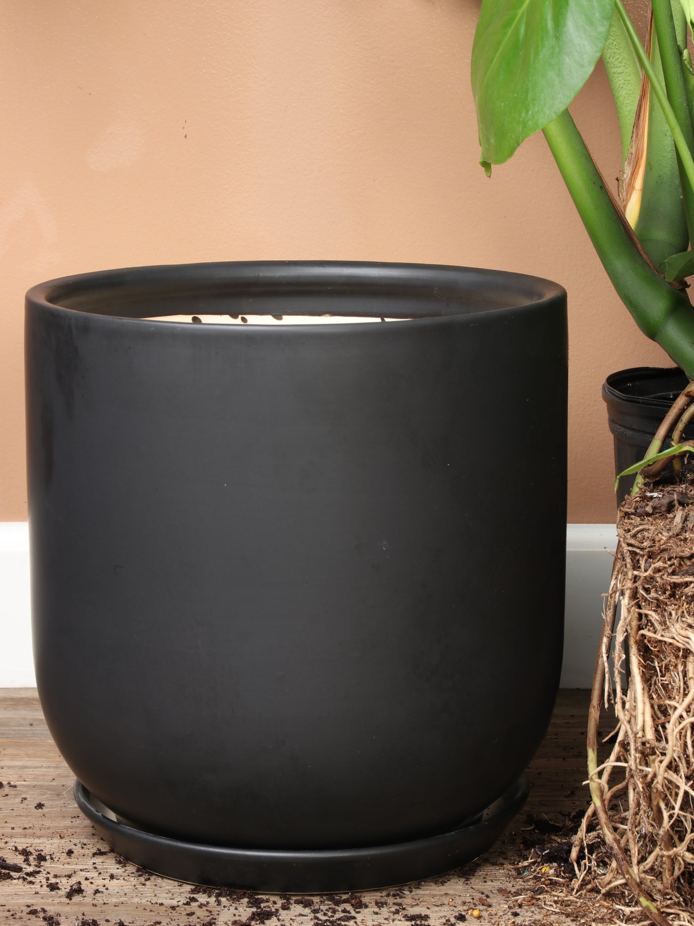Cylindoval (#337/336) | Fits: 6", 8", 10", 14" Plants